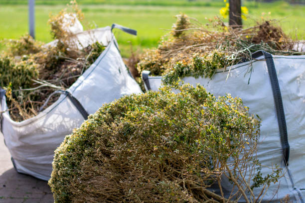 Best Dumpster Rental Services  in Floral Park, NY